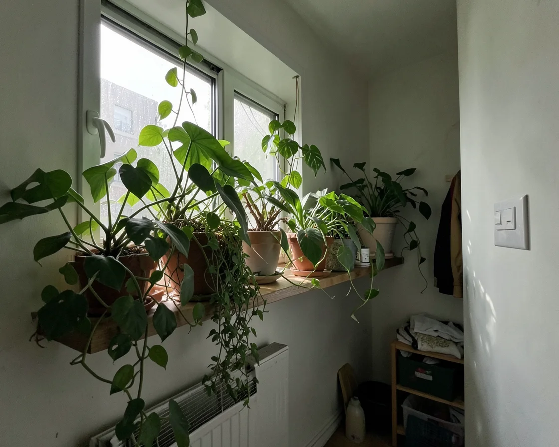 Verdant Overlap — AI generated image